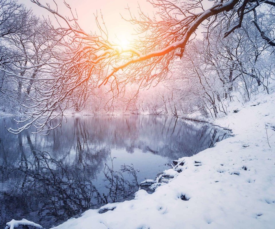 Обои деревья, река, снег, закат, зима, отражение, ветки, trees, river, snow, sunset, winter, reflection, branches разрешение 1920x1200 Загрузить