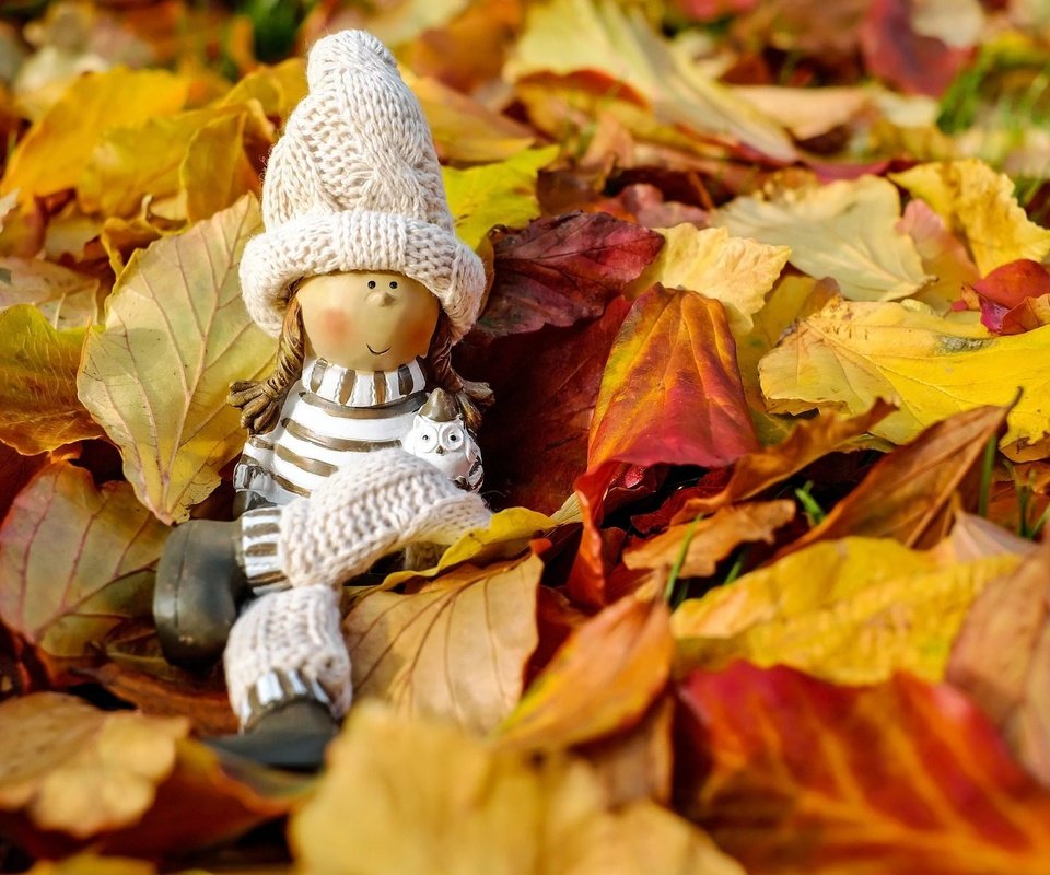 Обои природа, осень, игрушка, кукла, шапочка, фигурка, осенние листья, nature, autumn, toy, doll, cap, figure, autumn leaves разрешение 1920x1280 Загрузить