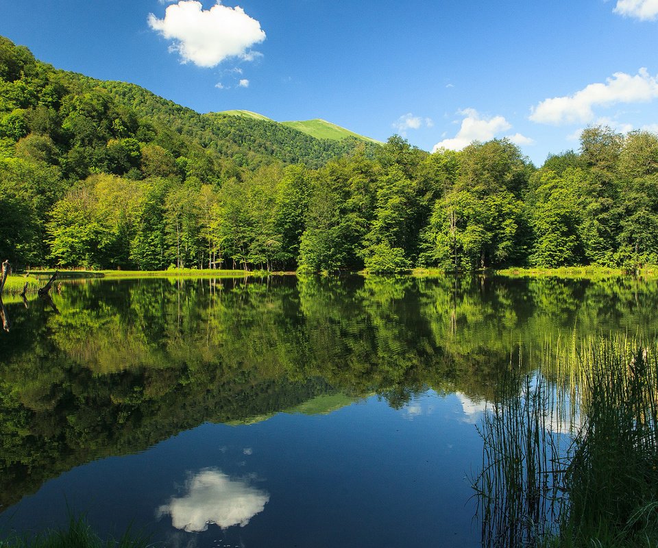 Обои небо, облака, озеро, природа, лес, отражение, the sky, clouds, lake, nature, forest, reflection разрешение 1920x1200 Загрузить