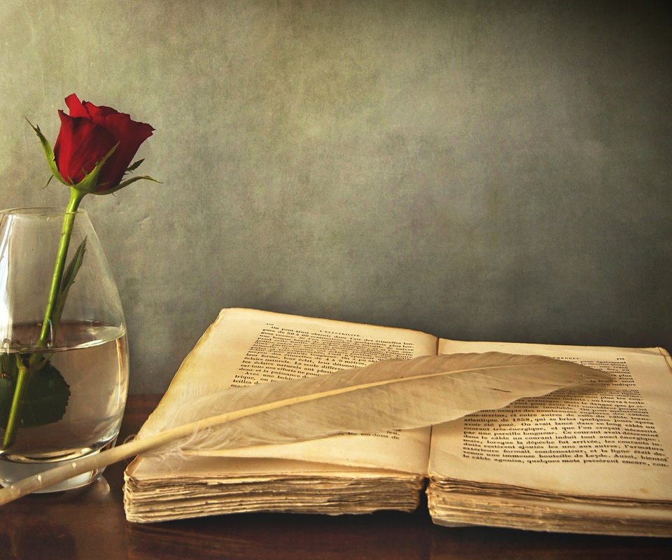 Обои роза, красная, стол, ваза, книга, перо, старая, rose, red, table, vase, book, pen, old разрешение 2560x1600 Загрузить