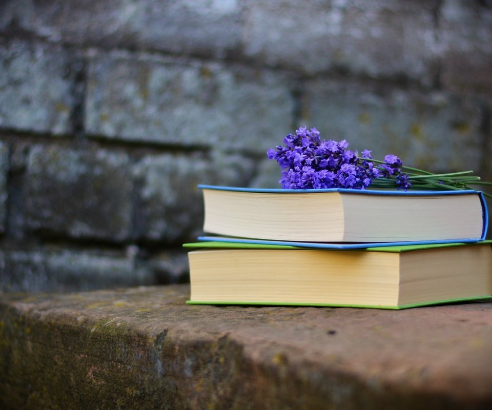 Обои лаванда, стена, книги, кирпичи, чтение, фиолетовые цветы, lavender, wall, books, bricks, reading, purple flowers разрешение 5071x3341 Загрузить