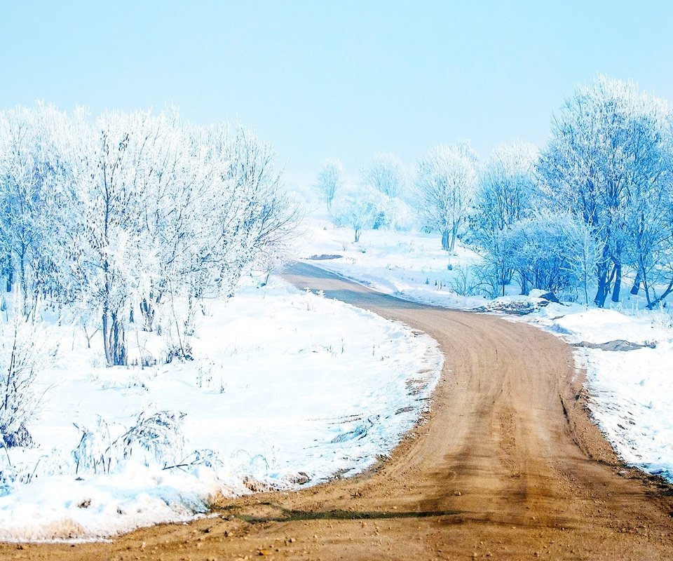 Обои дорога, деревья, снег, лес, зима, путь, road, trees, snow, forest, winter, the way разрешение 2560x1440 Загрузить