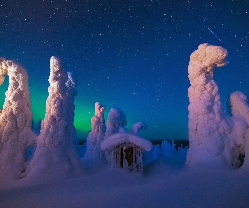 Обои ночь, деревья, снег, природа, лес, зима, домик, night, trees, snow, nature, forest, winter, house разрешение 1920x1200 Загрузить