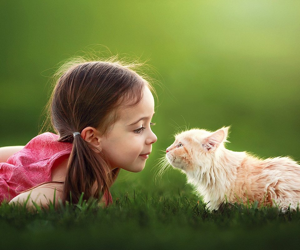 Обои трава, настроение, кот, кошка, девочка, ребенок, suzy mead, grass, mood, cat, girl, child разрешение 1920x1200 Загрузить