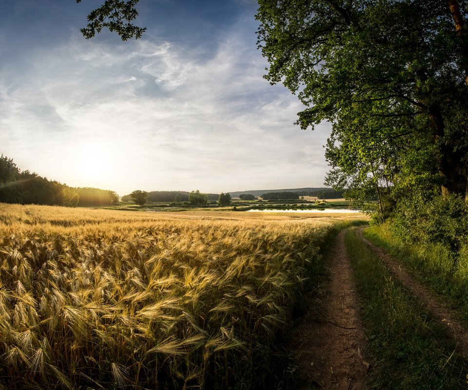 Обои небо, облака, природа, поле, лето, пшеница, следы, the sky, clouds, nature, field, summer, wheat, traces разрешение 3840x2400 Загрузить