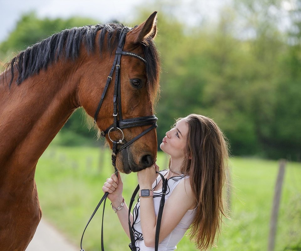 Обои лошадь, девушка, профиль, конь, грива, друзья, horse, girl, profile, mane, friends разрешение 2000x1333 Загрузить