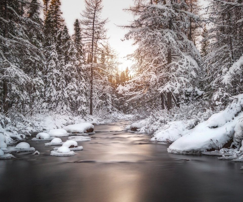 Обои деревья, река, снег, природа, лес, зима, trees, river, snow, nature, forest, winter разрешение 1920x1080 Загрузить