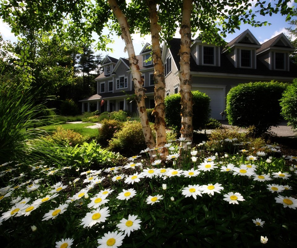 Обои цветы, трава, деревья, сад, дом, ромашки, лужайка, коттедж, flowers, grass, trees, garden, house, chamomile, lawn, cottage разрешение 4000x2776 Загрузить