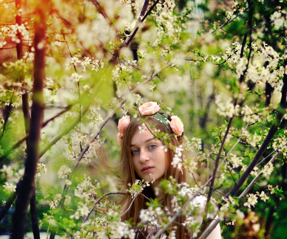 Обои цветы, деревья, природа, девушка, весна, веснушками, flowers, trees, nature, girl, spring, freckles разрешение 4608x3072 Загрузить