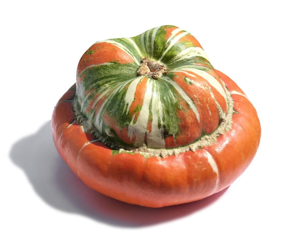 Обои тыква, pumpkin разрешение 4608x3456 Загрузить