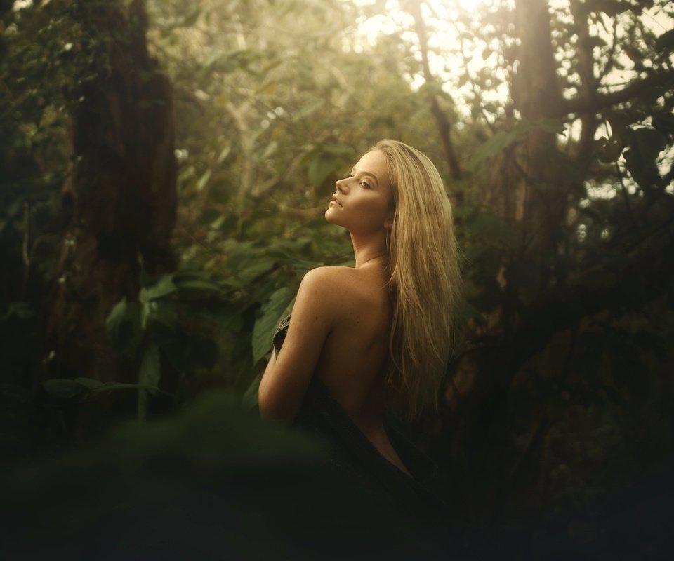 Обои лес, блондинка, взгляд, спина, tj drysdale, forest, blonde, look, back разрешение 2048x1365 Загрузить