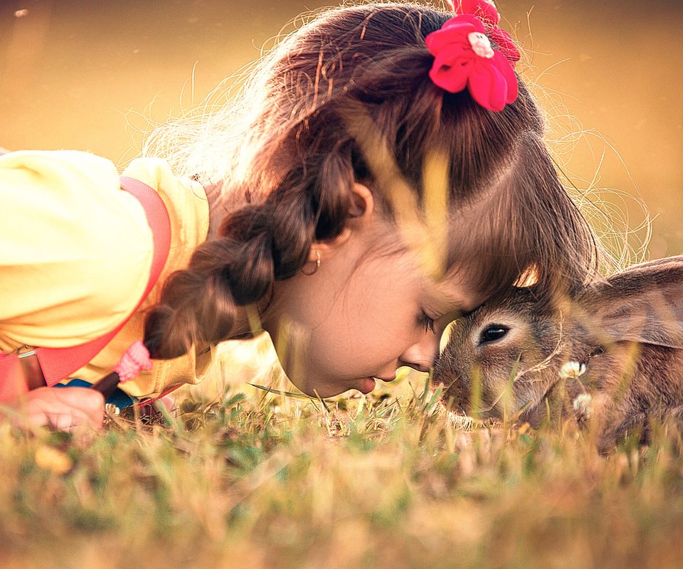 Обои девочка, кролик, дружба, заяц, girl, rabbit, friendship, hare разрешение 1920x1080 Загрузить