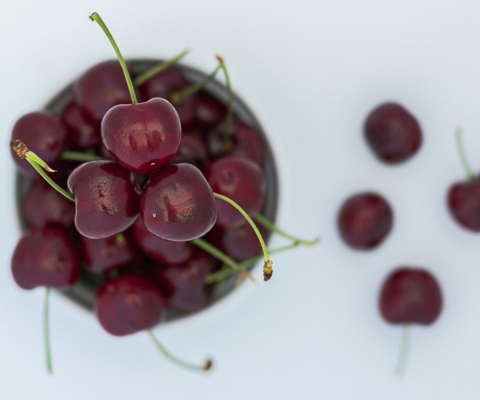 Обои макро, черешня, ягоды, вишня, вишни, macro, cherry, berries разрешение 2048x1419 Загрузить