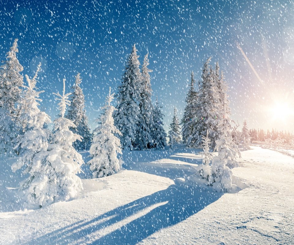 Обои небо, деревья, снег, природа, зима, пейзаж, снегопад, the sky, trees, snow, nature, winter, landscape, snowfall разрешение 2880x1800 Загрузить