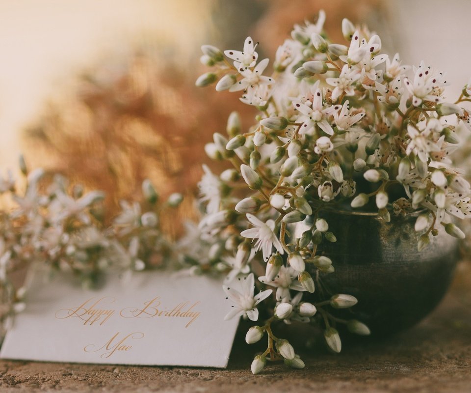 Обои цветы, открытка, поздравления, с днем ​​рождения, flowers, postcard, congratulations, happy birthday разрешение 2048x1229 Загрузить