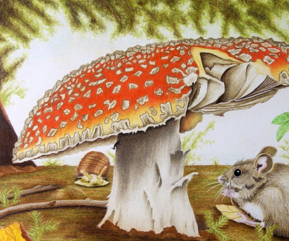 Обои природа, гриб, мышь, чертеж, художественное произведение, nature, mushroom, mouse, drawing, artwork разрешение 2560x1600 Загрузить