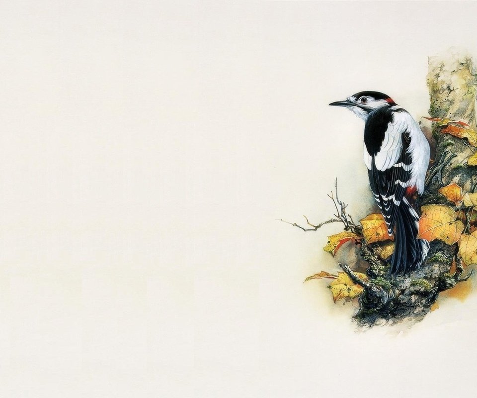 Обои арт, дерево, минимализм, птица, живопись, дятел, zeng xiao lian, art, tree, minimalism, bird, painting, woodpecker разрешение 1920x1080 Загрузить
