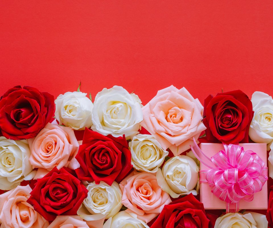 Обои бутоны, розы, подарок, день рождения, buds, roses, gift, birthday разрешение 4876x3230 Загрузить