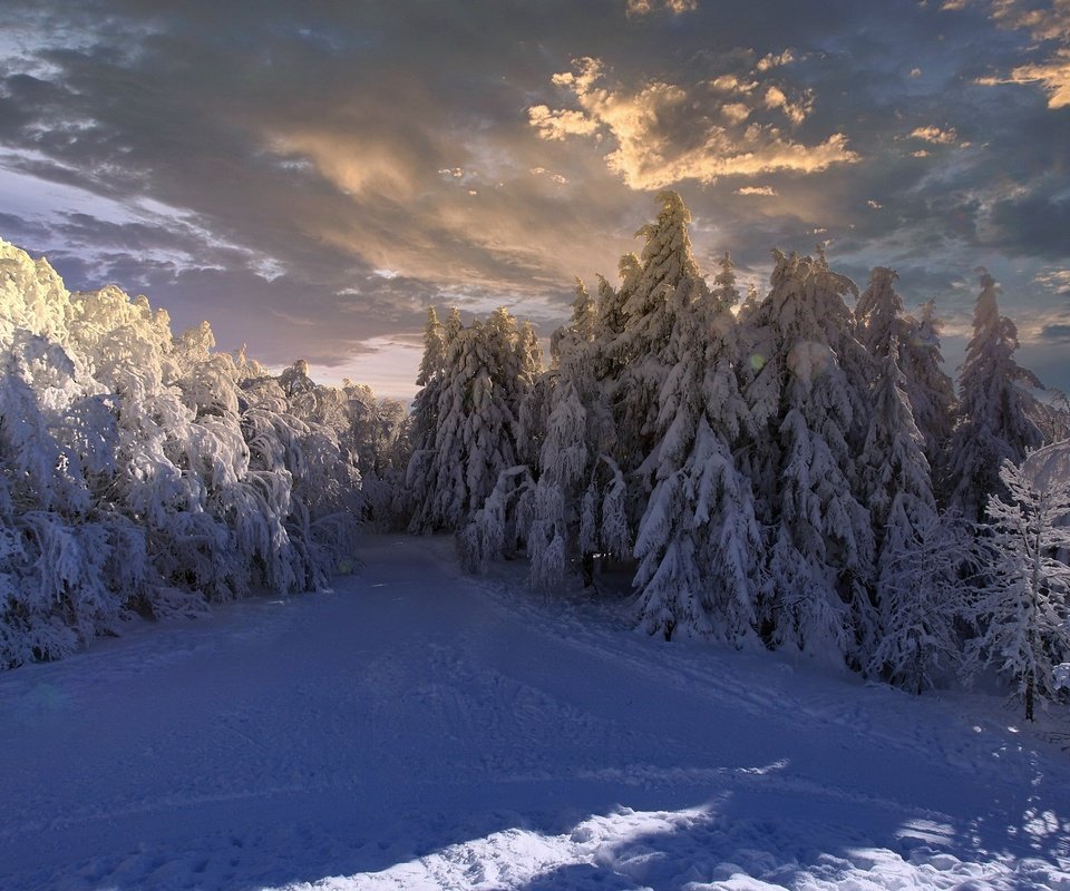 Обои небо, облака, снег, природа, лес, зима, gérard marconnet, the sky, clouds, snow, nature, forest, winter разрешение 2048x1288 Загрузить