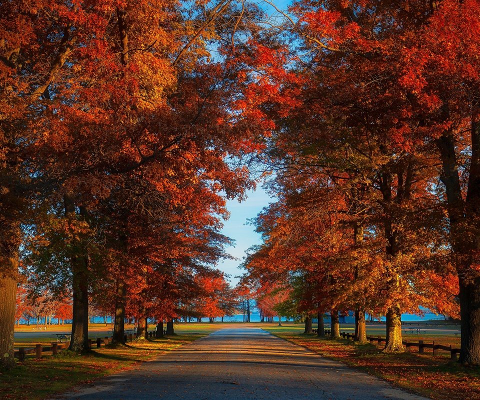Обои дорога, парк, листва, осень, аллея, road, park, foliage, autumn, alley разрешение 3840x2160 Загрузить