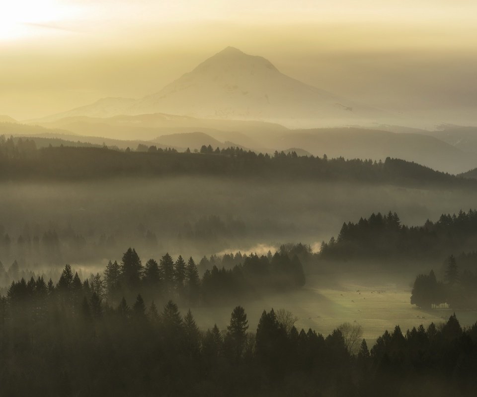 Обои природа, утро, туман, nature, morning, fog разрешение 3840x2160 Загрузить