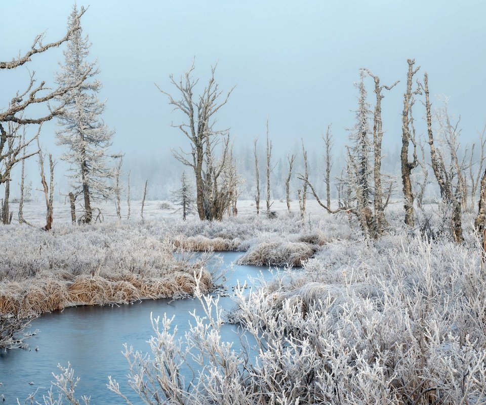 Обои река, зима, иней, river, winter, frost разрешение 3840x2160 Загрузить