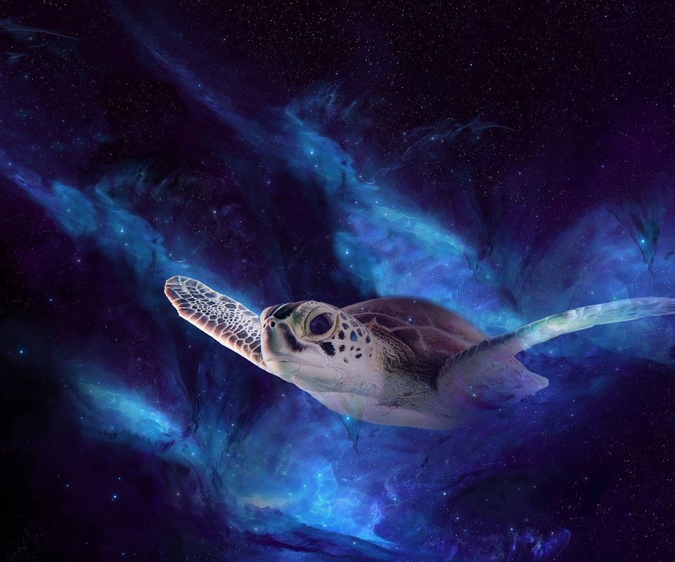 Обои ночь, космос, полет, черепаха, рендеринг, морская черепаха, night, space, flight, turtle, rendering, sea turtle разрешение 2880x1800 Загрузить