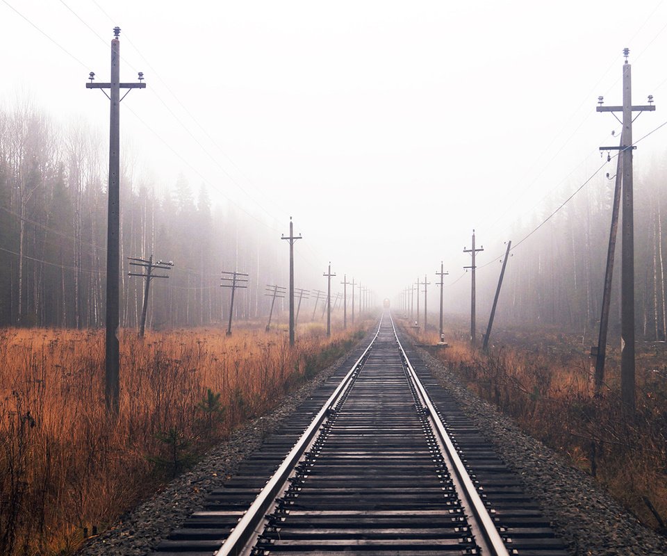 Обои железная дорога, лес, осень, railroad, forest, autumn разрешение 1920x1080 Загрузить