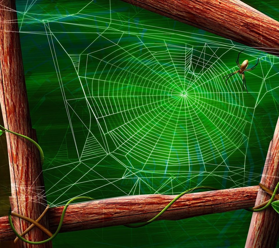 Обои зелёный, лист, паук, паутина, green, sheet, spider, web разрешение 1920x1200 Загрузить