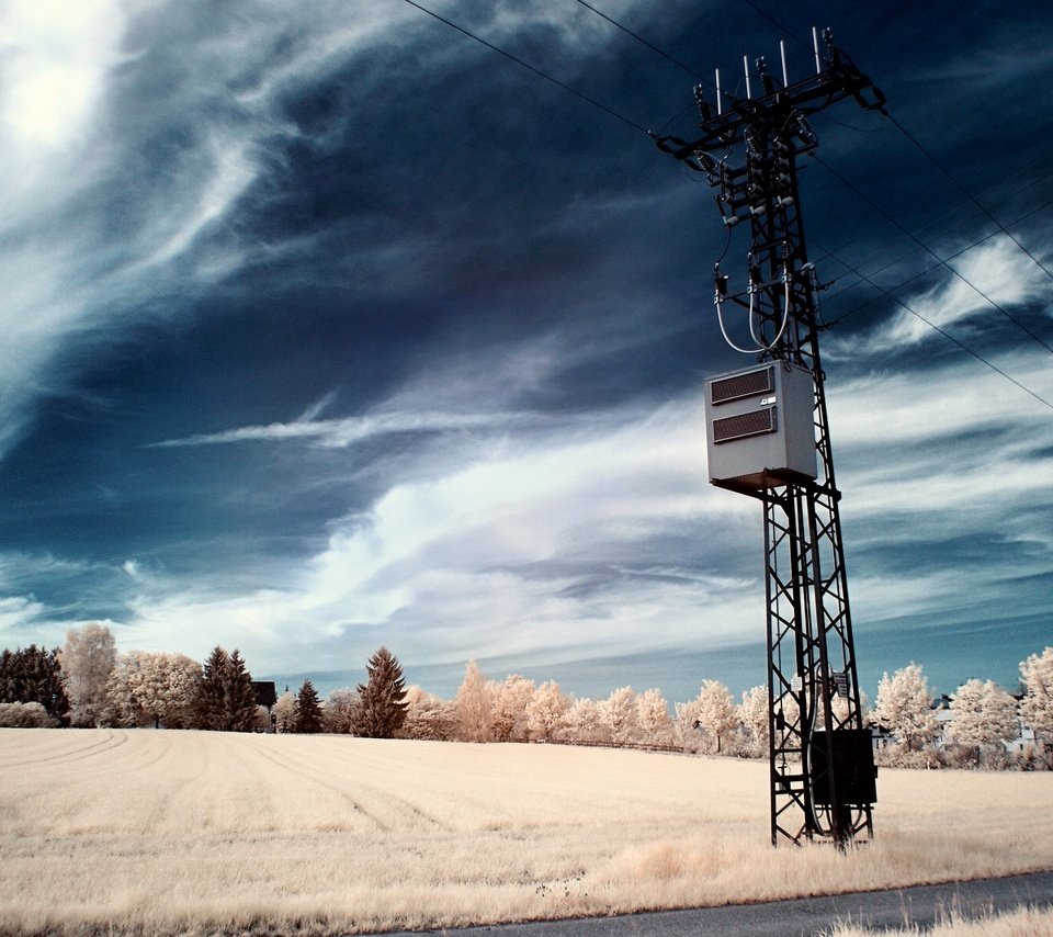 Обои небо, деревья, провода, поле, столб, the sky, trees, wire, field, post разрешение 2560x1600 Загрузить