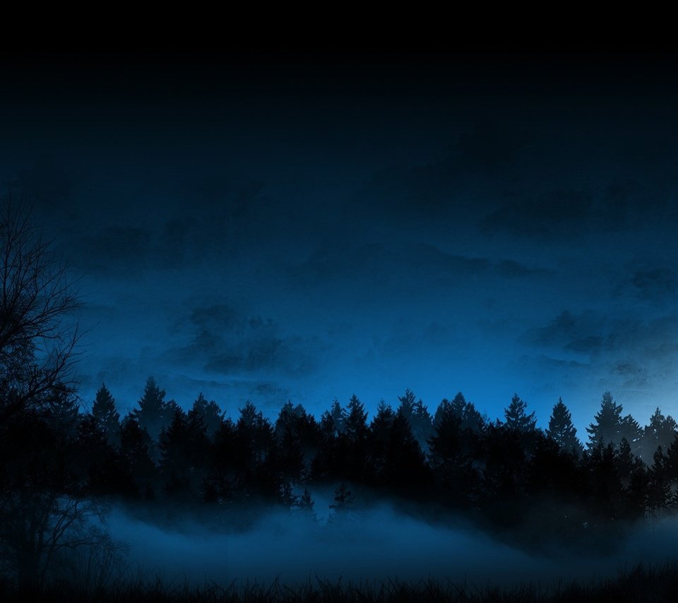 Обои ночь, лес, туман, night, forest, fog разрешение 1920x1200 Загрузить