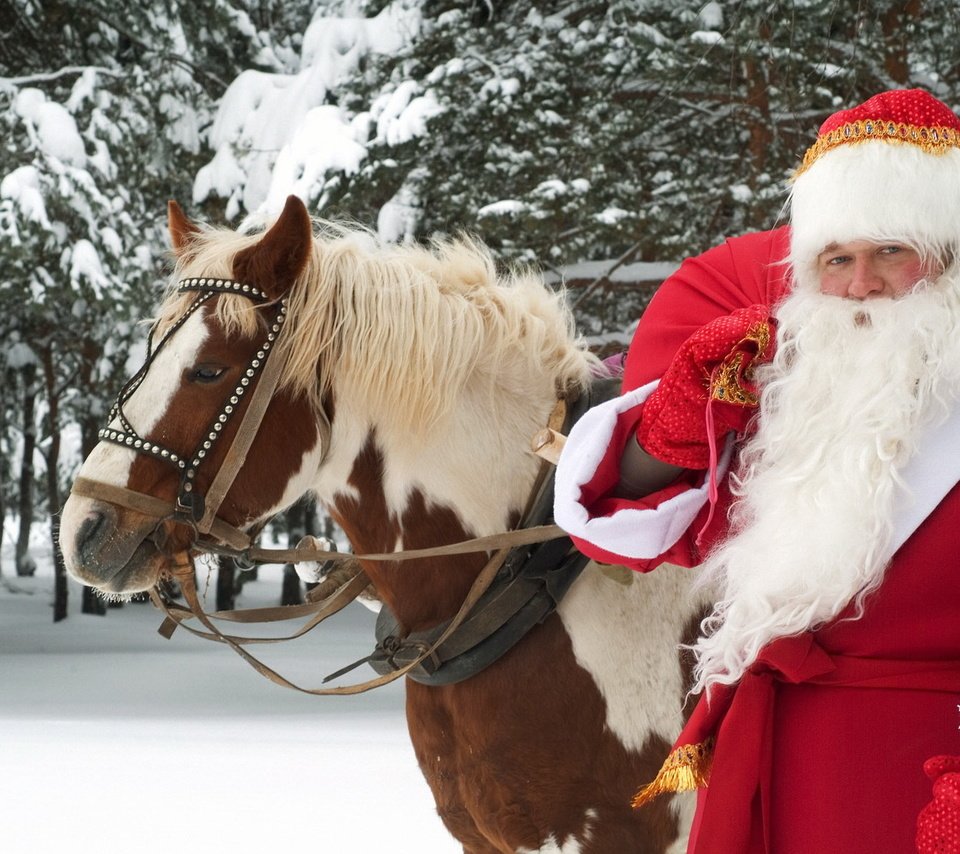 Обои лошадь, новый год, лес, зима, дед мороз, праздник, великий устюг, horse, new year, forest, winter, santa claus, holiday, veliky ustyug разрешение 1920x1200 Загрузить