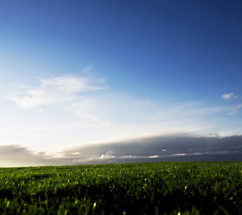 Обои небо, трава, облака, поле, the sky, grass, clouds, field разрешение 2560x1600 Загрузить