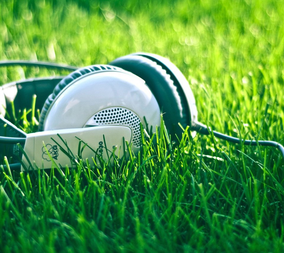 Обои природа, лето, музыка, наушники, травка, шнур, nature, summer, music, headphones, weed, cord разрешение 1920x1080 Загрузить