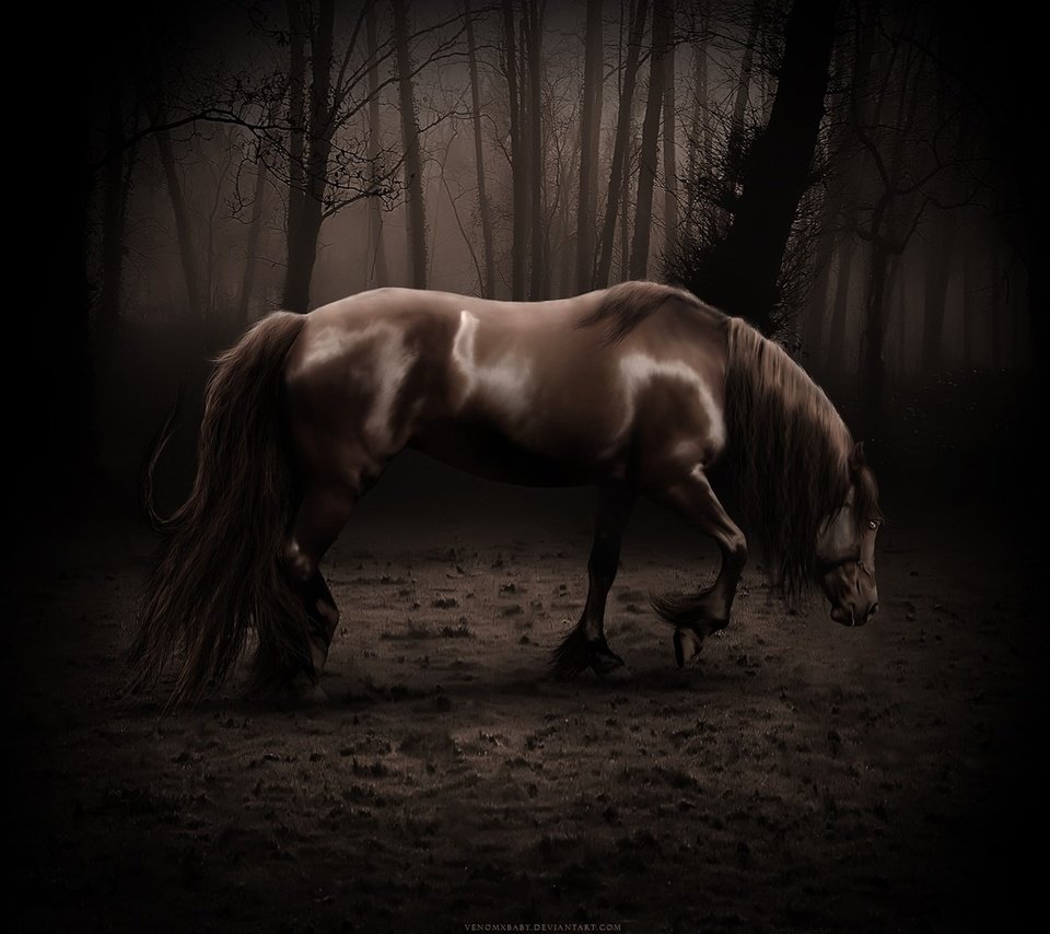 Обои лошадь, темный фон, конь, коняшка, страшно, horse, the dark background, konyashka, scary разрешение 1920x1200 Загрузить