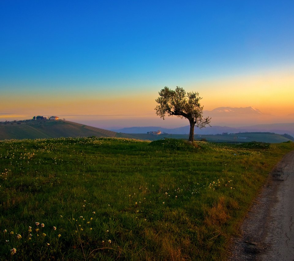 Обои дорога, трава, холмы, дерево, утро, road, grass, hills, tree, morning разрешение 2560x1600 Загрузить