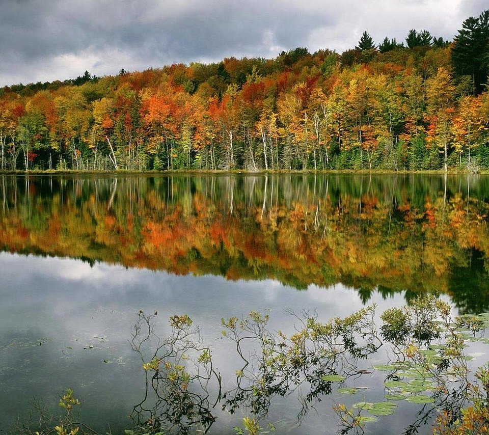 Обои деревья, вода, озеро, лес, отражение, осень, trees, water, lake, forest, reflection, autumn разрешение 1920x1080 Загрузить