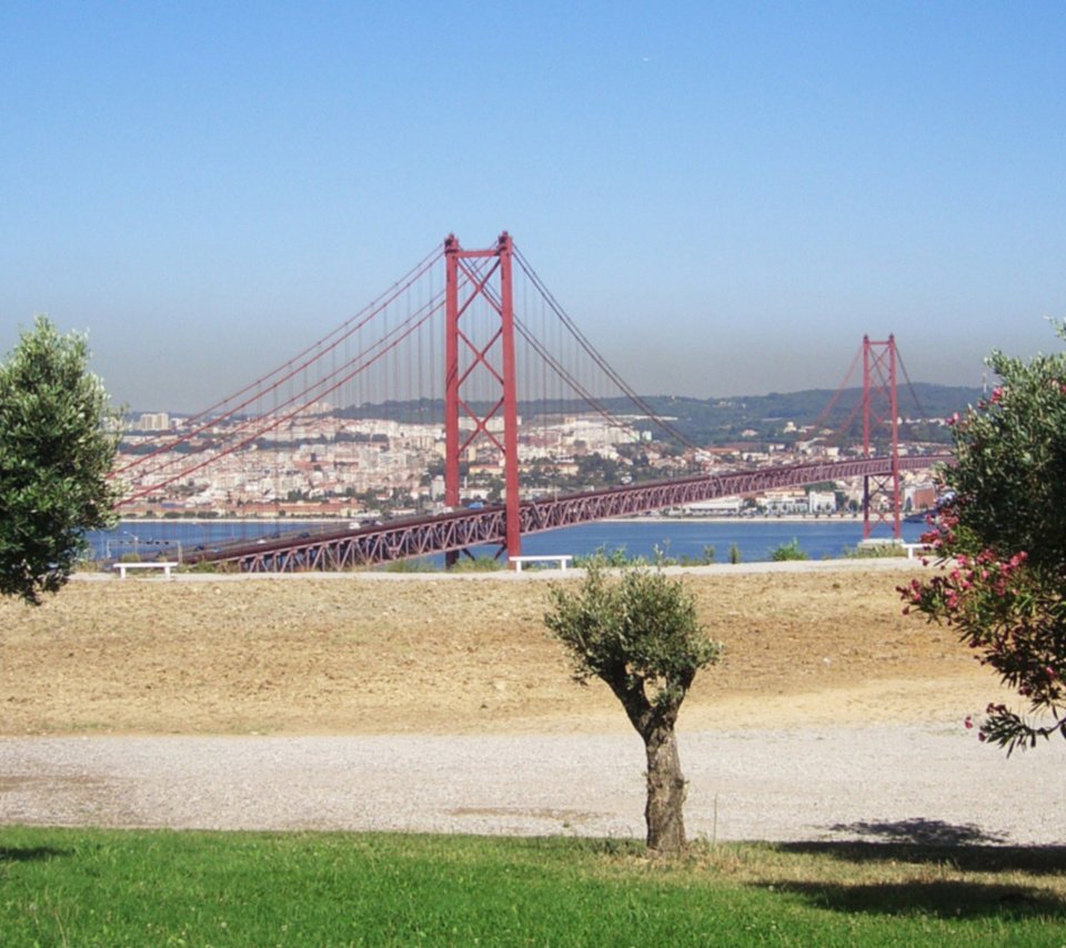 Обои деревья, город, подвесной мост, вдали, trees, the city, suspension bridge, away разрешение 2048x1152 Загрузить