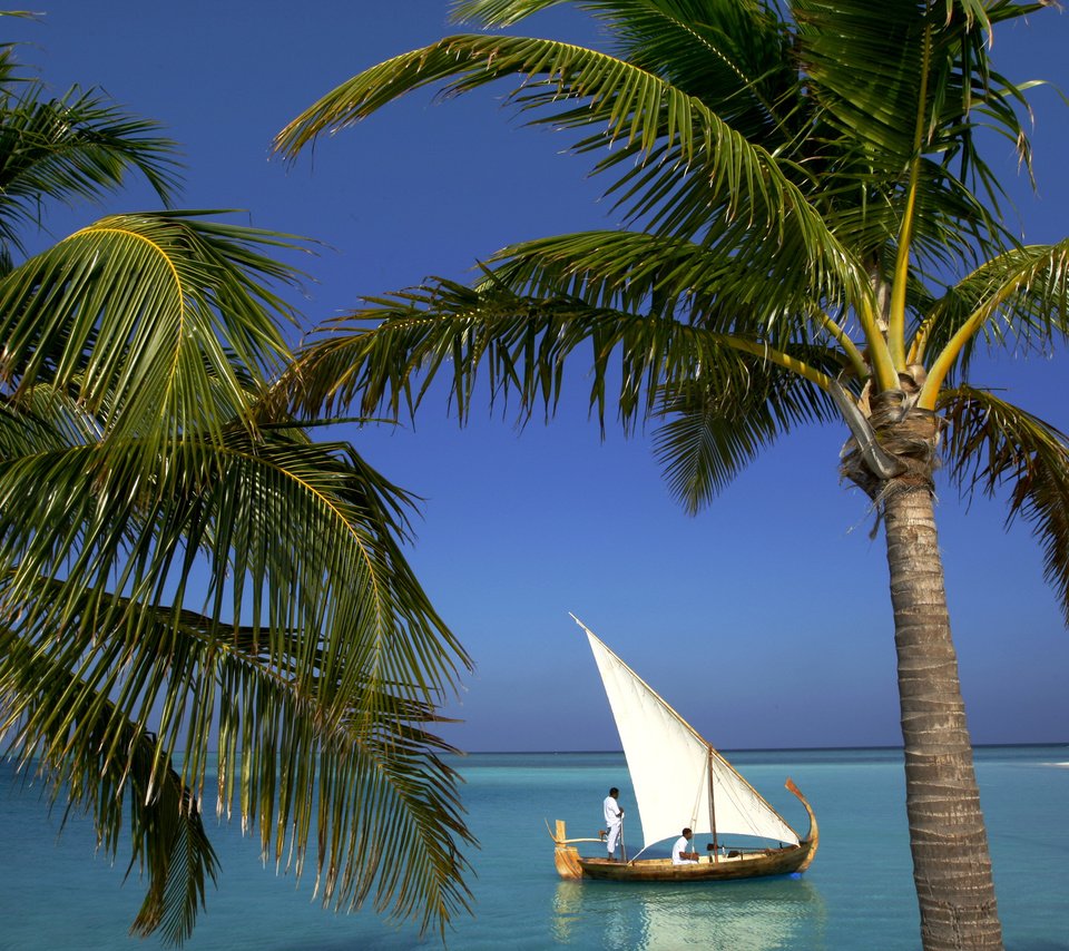 Обои пляж, лодка, пальмы, тропики, мальдивы, beach, boat, palm trees, tropics, the maldives разрешение 2500x1667 Загрузить