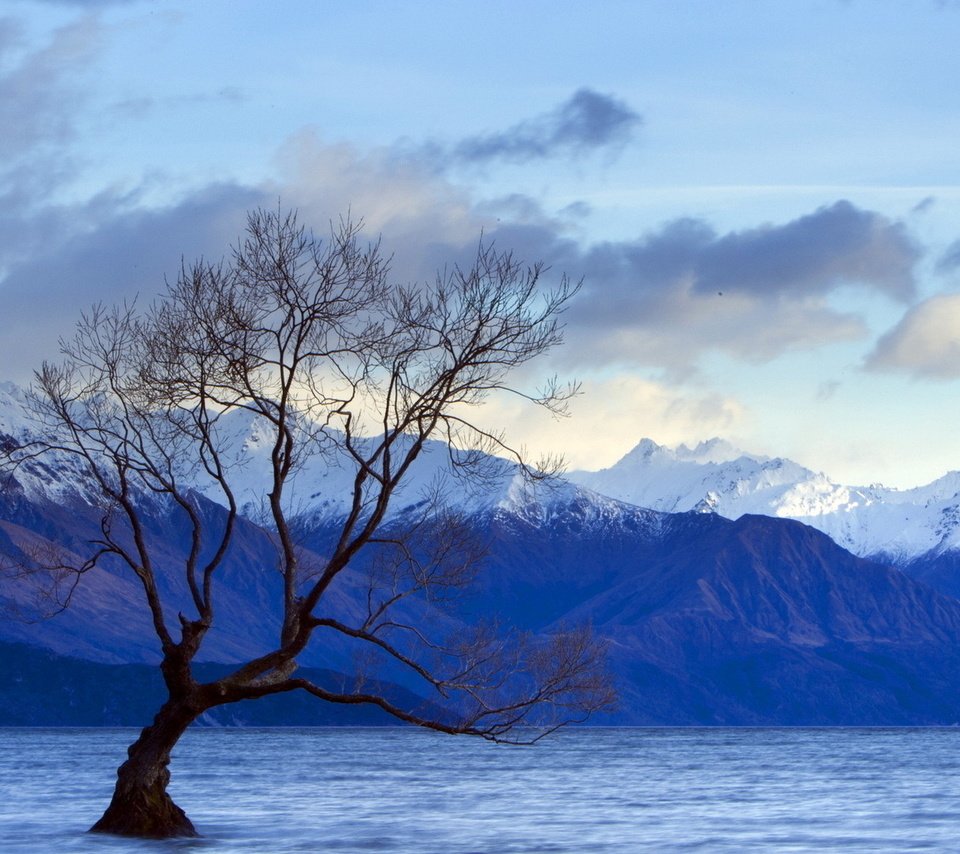 Обои небо, облака, озеро, горы, дерево, пейзаж, вершины, the sky, clouds, lake, mountains, tree, landscape, tops разрешение 1920x1080 Загрузить