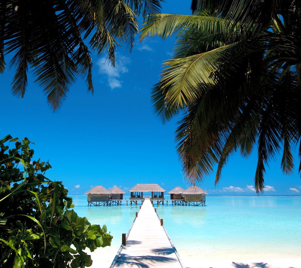 Обои тропики, мальдивы, tropics, the maldives разрешение 4275x2816 Загрузить