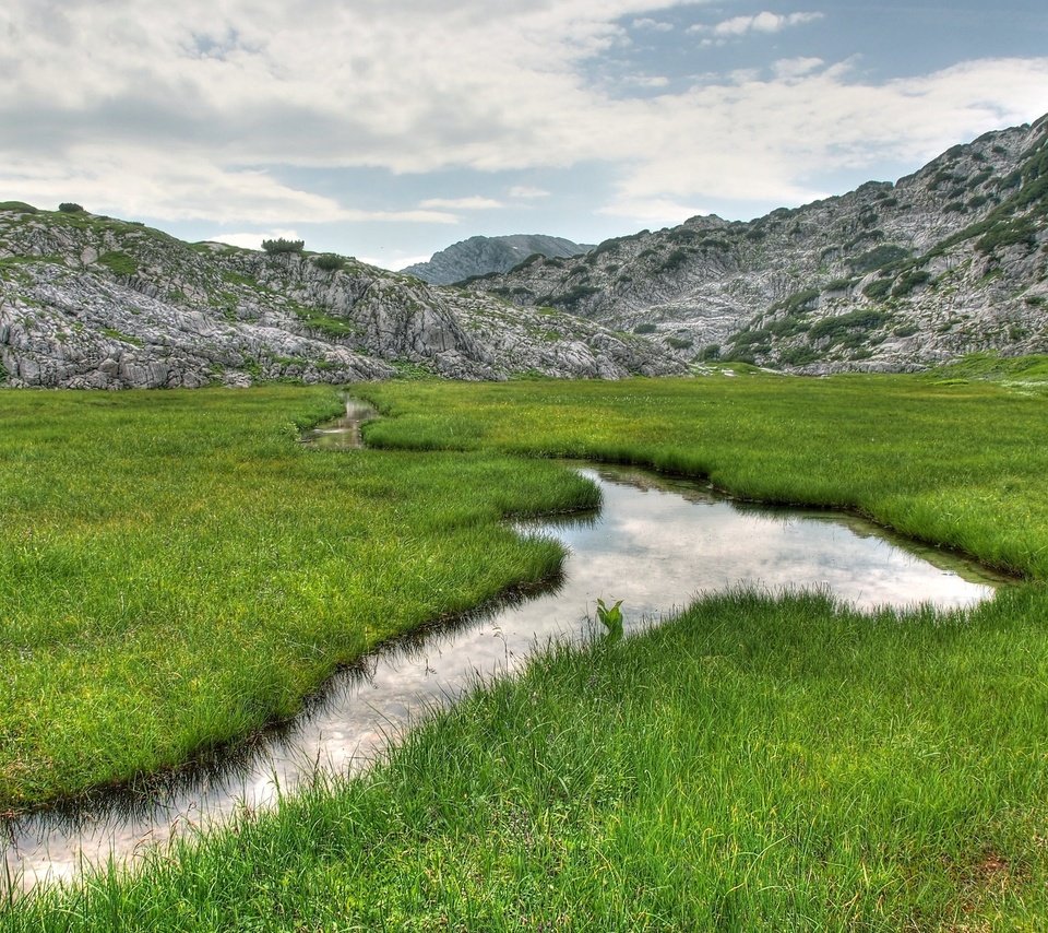 Обои трава, горы, природа, ручей, пейзаж., grass, mountains, nature, stream, landscape. разрешение 2560x1600 Загрузить