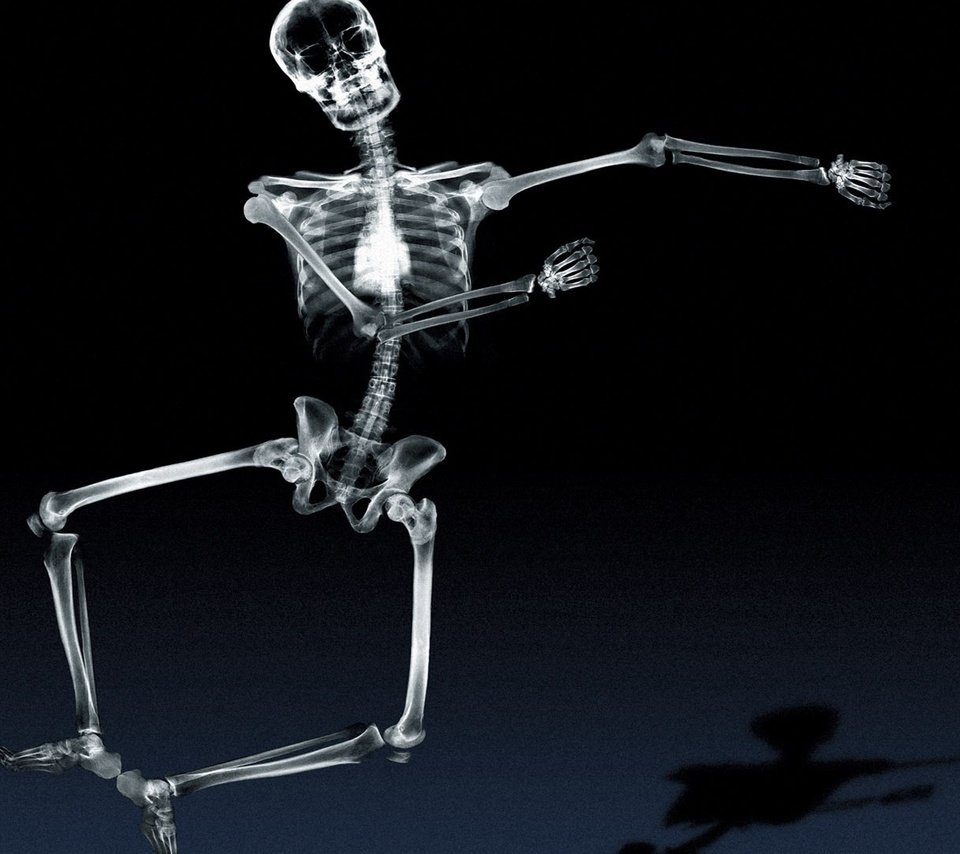 Обои тень, рентген, кости, скелет, танцует, shadow, x-ray, bones, skeleton, dancing разрешение 1920x1080 Загрузить