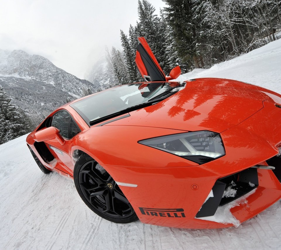 Обои снег, ракурс, спорткар, моська, lamborghini aventador lp700-4, snow, view, sports car, pug разрешение 2560x1703 Загрузить