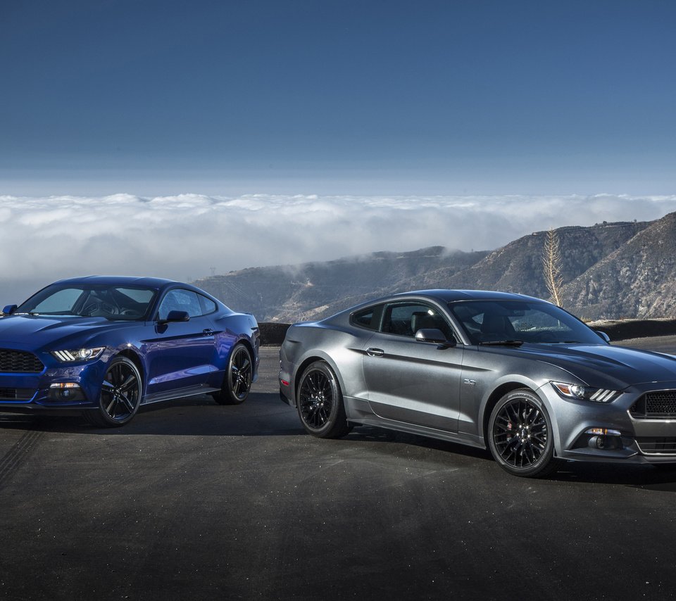 Обои мустанг, форд, ecoboost, 2015 год, гт, фон.jpg, mustang, ford, 2015, gt разрешение 2560x1600 Загрузить