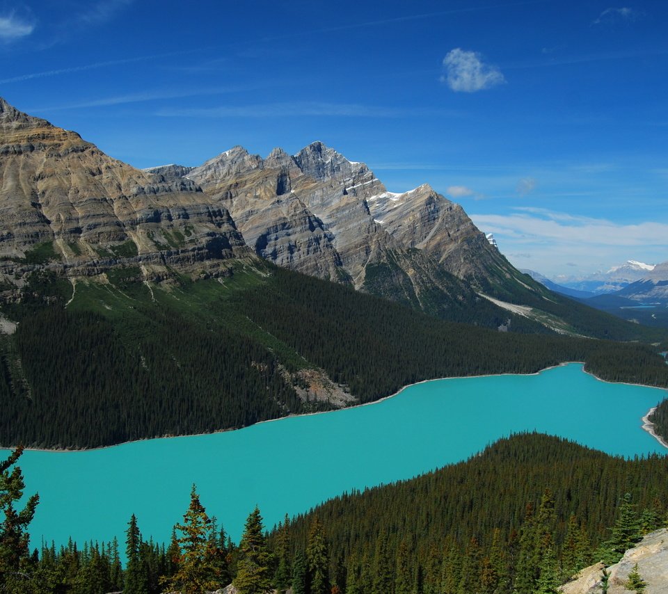 Обои озеро, горы, лес, пейзаж, канада, национальный парк банф, peyto lake, пейто, lake, mountains, forest, landscape, canada, banff national park, peyto разрешение 2560x1600 Загрузить