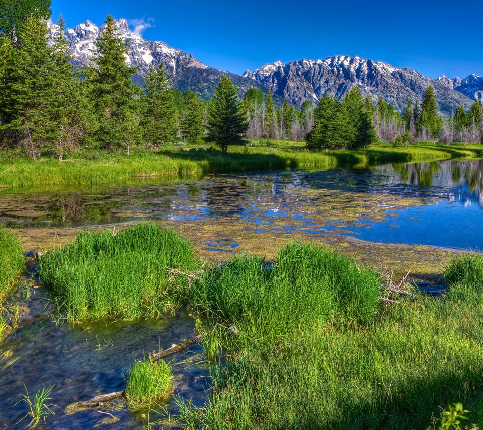 Обои трава, деревья, река, горы, лес, даль, зеленая, речка, grass, trees, river, mountains, forest, dal, green разрешение 2560x1600 Загрузить