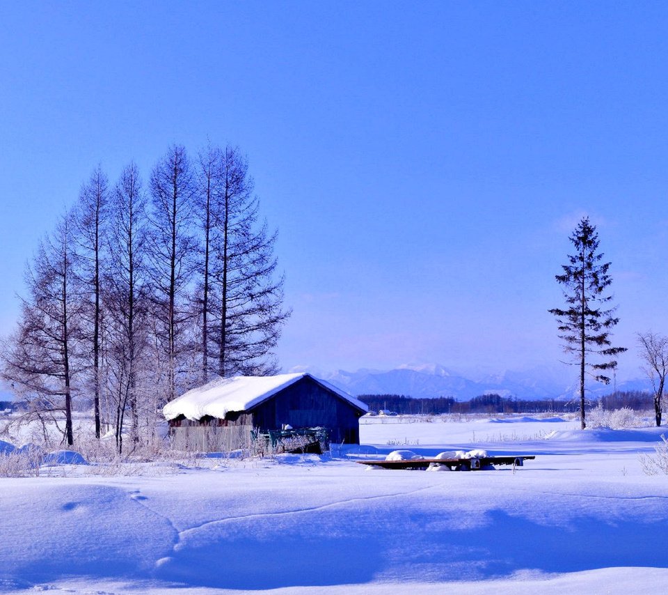 Обои деревья, снег, зима, поле, дом, trees, snow, winter, field, house разрешение 1920x1200 Загрузить