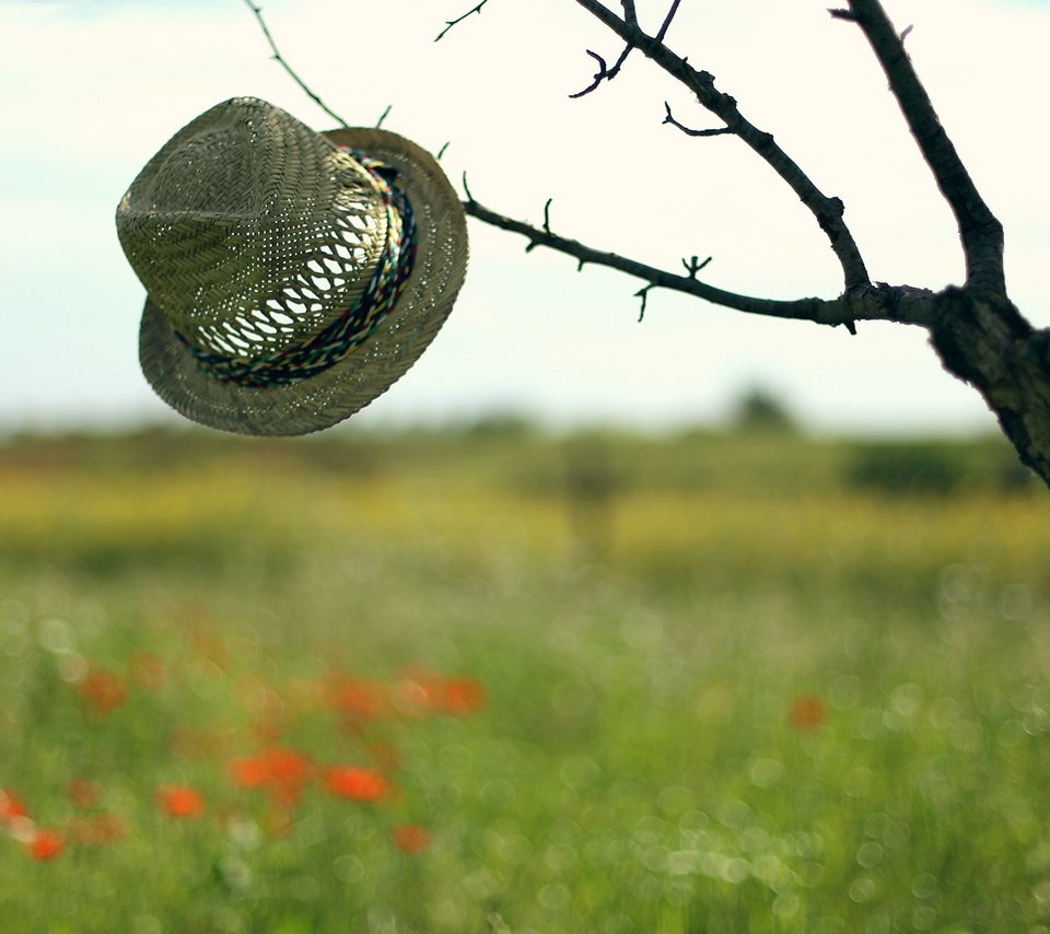 Обои небо, дерево, настроение, фон, поле, шляпа, the sky, tree, mood, background, field, hat разрешение 2560x1600 Загрузить