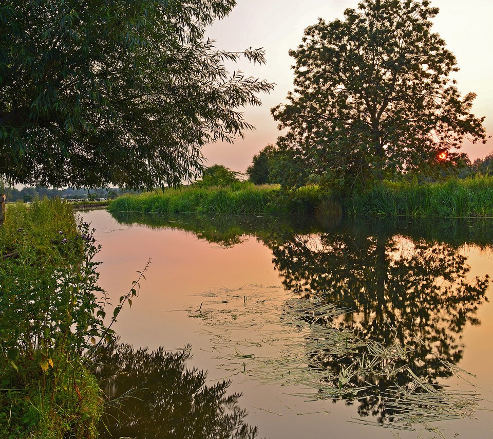 Обои деревья, вода, природа, закат, камыш, trees, water, nature, sunset, reed разрешение 1920x1200 Загрузить